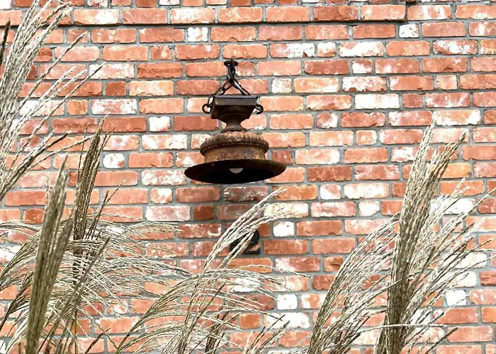 Vakantiehuis Duenenhuus