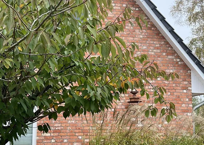 Vakantiehuis Duenenhuus *