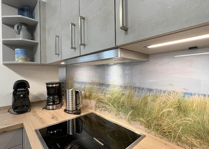 Duenenhuus Dom wakacyjny